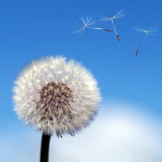 尊龙凯时人生就是搏 -官网首页