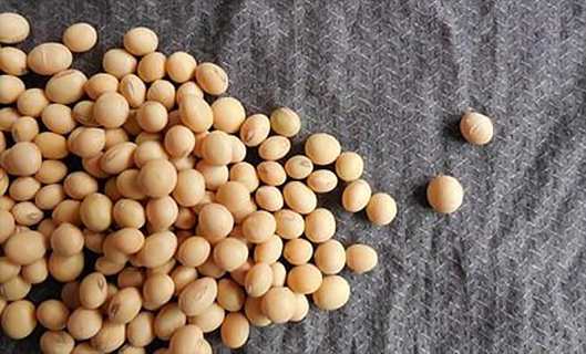 尊龙凯时人生就是搏 -官网首页